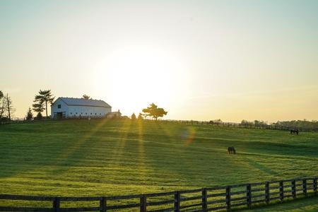 barn cropland daylight 2042161